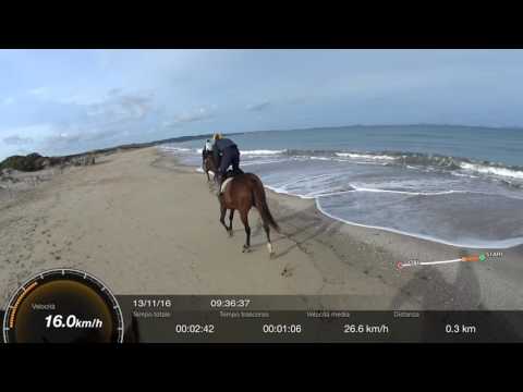 Galoppo in spiaggia con la Sony HDR100V