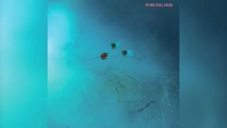 Purling Hiss // 3000 AD