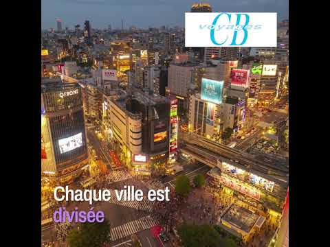 Voyage de groupe au Japon