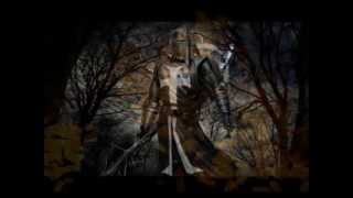 Die Allianz   Die Todgeweihten