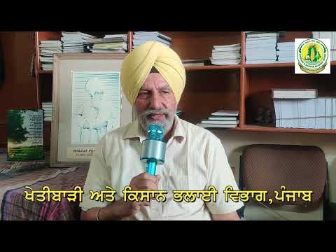 Pingalwara Society Amritsar da Suneha