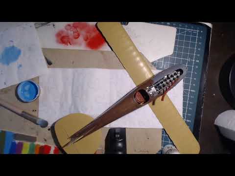 Albatros D III 1/32 Roden- painting