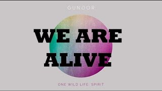 We Are Alive by Gungor