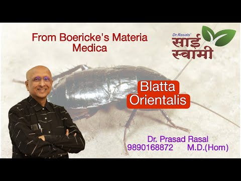 My Experiences with Blatta Orientalis...