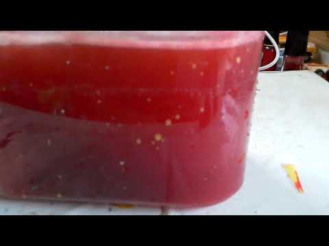 Thumbnail for Spot On Austin Healey Sprite