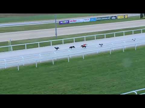 2017.10.29. 12. futam - Agár futam