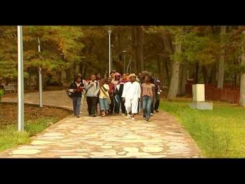 Eduardo Paim/Luisa/Arieth Feijó - Foi Aqui (AKWAFRICA)