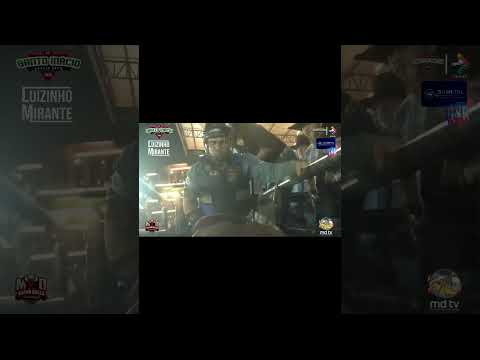 🤠FINAL EM TOUROS - Santo Inácio Rodeio Show 2025🤠🎤 #shorts