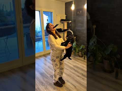 I miei Cani e i miei Gatti! La mia famiglia ♥️🐶🐱 #lovelypetboutique🐾 #ziaely🐾 #dogs #dog