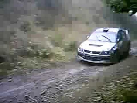 Avram Iancu 2008 Lapustesti