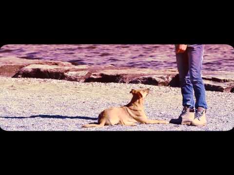 Karmin Shiff and Lik & Dak - Baila Morena Oye Zumba (Official Video) TETA