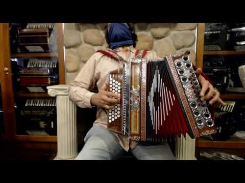 3835 - Alpine Strasser De Luxe Steirische Diatonic Button Accordion MMM 46 15 $2999