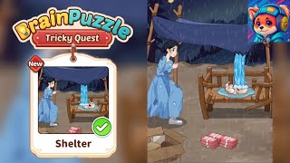 Shelter