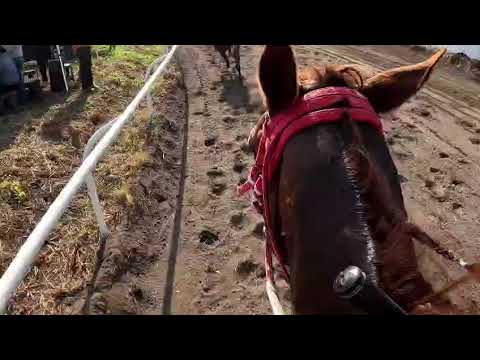 Cámara GoPro en las carreras de caballos 2026 en la democracia, Escuintla