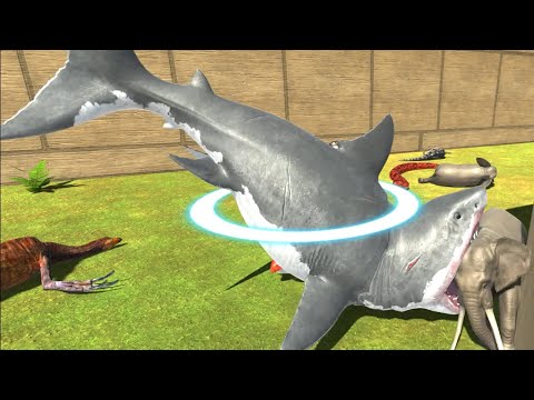 Mutant Megalodon Death Run Epic Tournament - Animal Revolt Battle Simulator