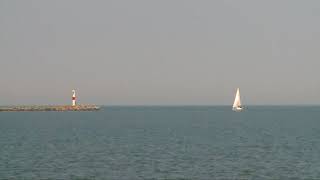 Gross! Midges invade Northeast Ohio