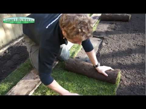 How to Lay Turf | Laying Lawn Turf