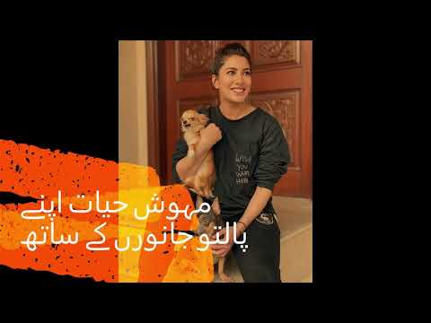 #MehwishHayat with her pets .