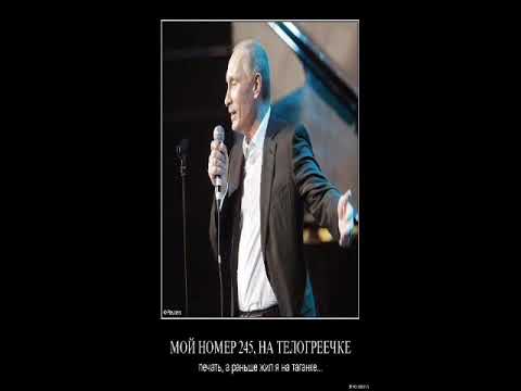 Мой Номер 245 – Nightcore