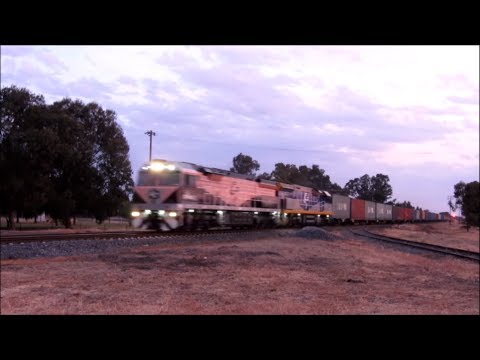 CF4412 "Black Caviar" CF4411 "Revenue" HENTY, NSW Australia