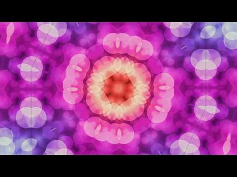 Panoki EDM  - The 5th Dimention