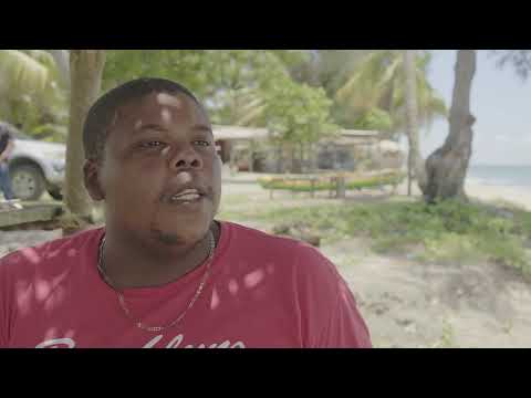 Defending their land and culture: violence strikes a Garifuna community