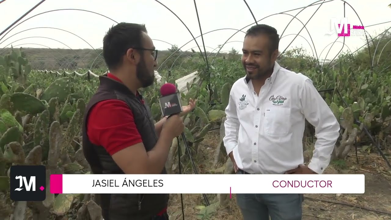 VALTIERRILLA: LA CAPITAL MUNDIAL DEL NOPAL