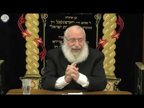 Full Shiur: The Mitzva of Talmud Torah | Weekly Shiur by Rav Asher Weiss Shlit"a (5785)