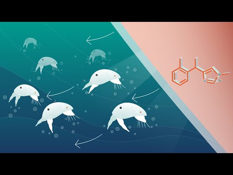 Selektope mode of action - Lifecycle of a barnacle