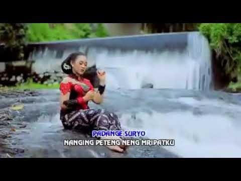 #TembangtresnoolehsonyJosz #nikensalindri Enak aku dengar#believemusic