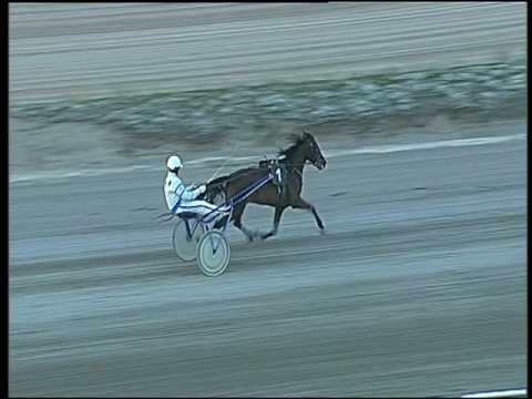 Trotto 10/03/2017 - prova di qualifica