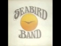 Seabird Band/Don't Disguise 