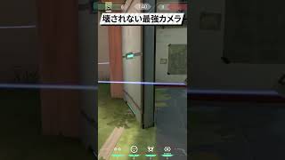 壊されない最強DD監視カメラ/ヘイブン【VALORANT】【ヴァロラント】 #Shorts