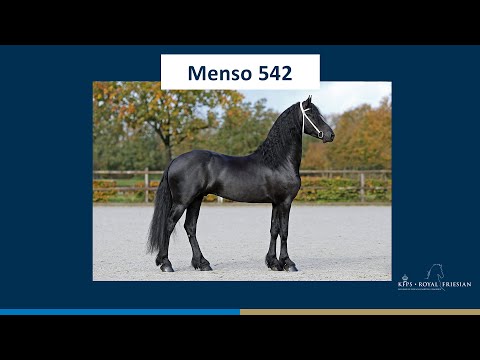 Menso 542