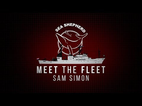 MEET THE FLEET - Sam Simon