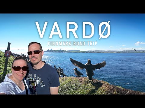 Vardø - lintu paratiisi | Norja - Finnmark road trip