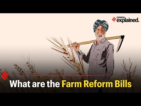 Explained Ideas: Why farmers are unwilling to trust the central government’s farm reforms | Explained News - The Indian Express