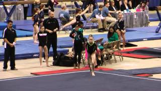 preview picture of video 'Adrienne Randall Floor - 2015 Elite Qualifier Columbus'