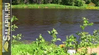 Ссылка