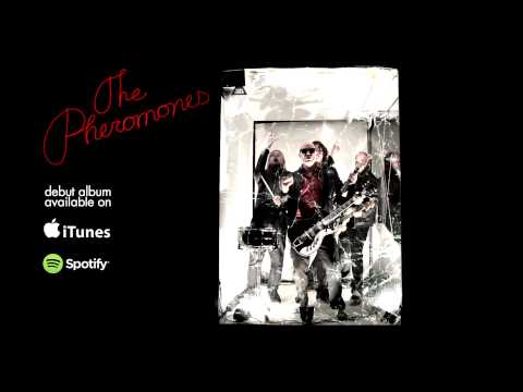 The Pheromones - Want You So Bad