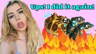 La ACUMULADORA de ANIMALES, Taylor Nicole Dean ❤ Anita