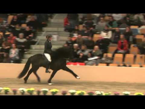 Gradur vom Wiesenhof, F1 4 Worldtølt Odense 2013