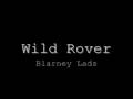 Wild Rover (Best Version) 