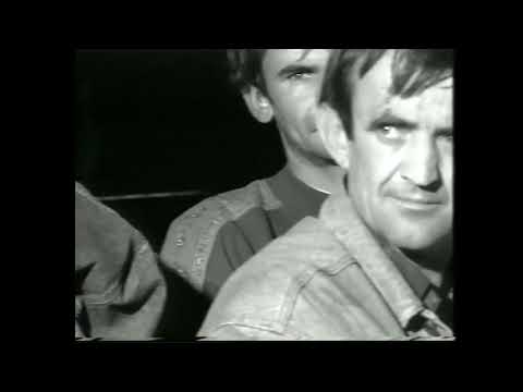 GLAVE GORE - ARHITEL