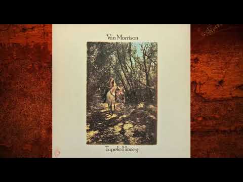 Starting a New Life - Van Morrison