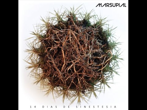 MARSUPIAL 14 dias de sinestesia Full Album