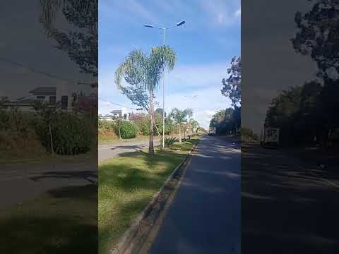 colônia Francesa Avenida dás Palmeiras Palmeira Paraná 🇧🇷💚💙💛