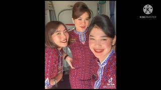 Download lagu Tik tok pramugari | part 2 mp3
