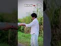 Https Www Instagram Com Reel DBwT3u9MIl0 Igsh YzljYTk1ODg3Zg