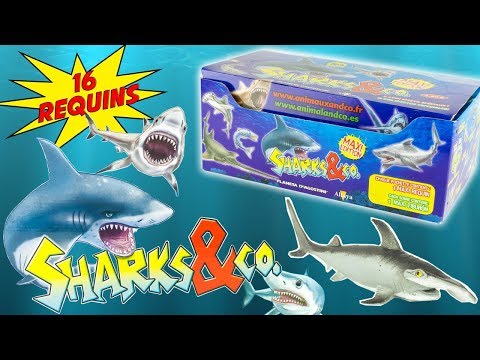 SHARKS & CO Requins Boite Complète 16 Pochettes Surprise Altaya Jouets Toy Review Juguetes Tiburon